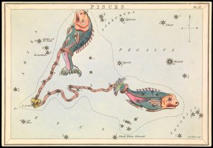 Fische, ca. 1825