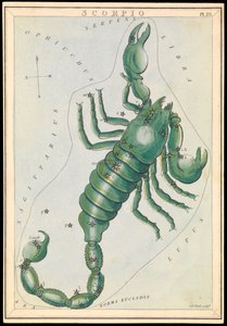 Skorpion, ca. 1825