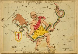 Taurus Poniatowski, Serpentarius, Scutum Sobiesky und Serpens, Illustration aus 