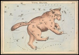 Großer Bär, ca. 1825 (Karton, Papier, Gewebe)
