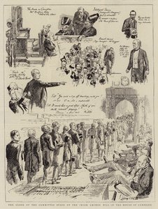 Das Ende der Ausschussphase des irischen Verbrechensgesetzes im Unterhaus von Sydney Prior Hall