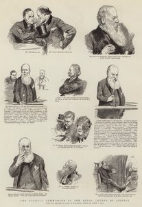 Die Parnell-Kommission am Royal Courts of Justice von Sydney Prior Hall