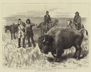 Zum großen Nordwesten mit dem Marquis von Lorne, X, eine Büffeljagd im Red River Valley, der Gnadenstoß von Sydney Prior Hall