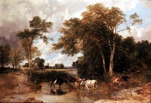 Bewaldete Flusslandschaft von T.S. and Lee F.R. Cooper