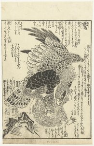 Adler mit Affe in seinen Klauen von Tachibana Morikuni