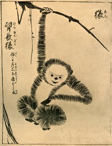 Affe, 1720, 1924