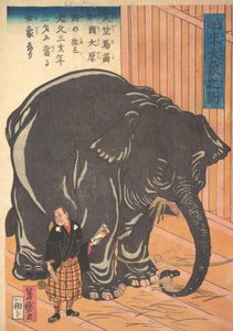 Ansicht des großen importierten Elefanten, 1863 Bunkyo 3, 4. Monat