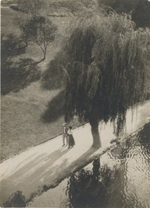 Sonnenlicht und Schatten von Taizo Kato