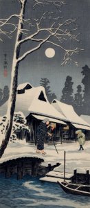 Mondschein auf Schnee