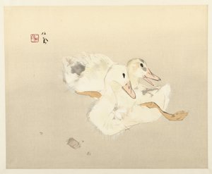 Junge Enten von Takeuchi Seiho