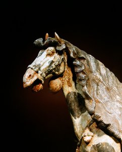 Detail eines Pferdes, spätes 7. - frühes 8. Jahrhundert von Tang Dynasty Chinese School