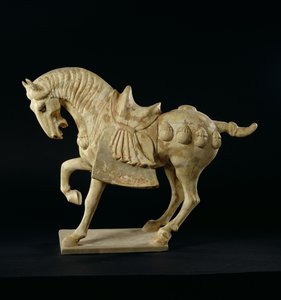 Pferd, Chinesisch, Tang-Dynastie, ca. 618-906 n. Chr.