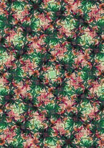 Tropische Palme von Tara Whitehead