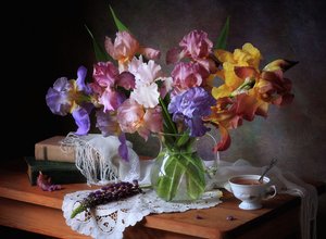 Bunte Iris-Stillleben