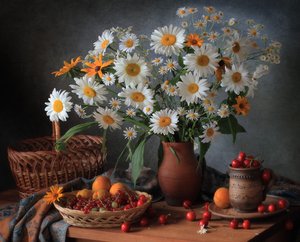 Gänseblümchen und Sommerfrüchte