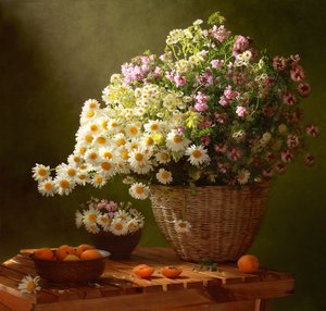 Sommer Gänseblümchen und Aprikosen