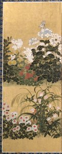 Blumen und Schmetterlinge