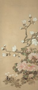 Pfingstrosen, Magnolie und Löwenzahn