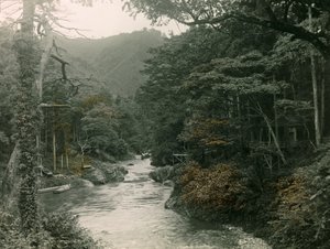 Herbstwald in der Yamanaka-Region, um 1900 - 1915
