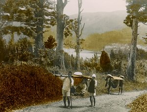 Japanisches Mädchen in einem Kago, Hakone-Region, um 1900 - 1915