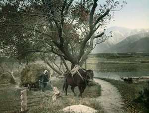 Japanischer Bauer, um 1900 - 1915 von Teijiro Takagi