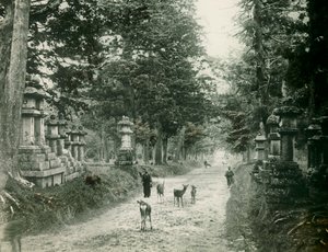 Kasauga Taisha Park in Nara, um 1900 - 1915 von Teijiro Takagi