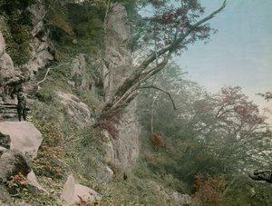 Auf dem Weg zu den Kegon-Wasserfällen in Nikko, um 1900 - 1915 von Teijiro Takagi