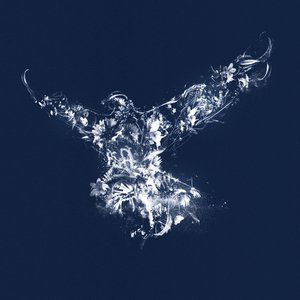 Im Flug, 2019