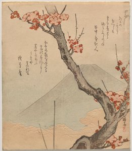 Pflaumenbaum mit Berg Fuji
