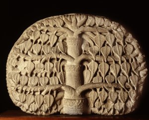 Bodhi-Baum