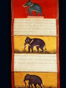 Folio aus einem Manuskript über Elefantentraining von Thai School
