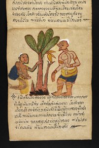 Satra über Wahrsagerei und Ratschläge für ein glückliches und gesundes Leben (Papierfaltbuch)