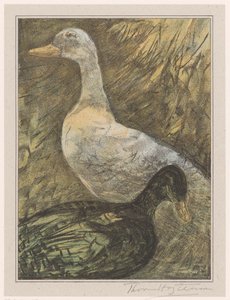 Zwei stehende Enten
