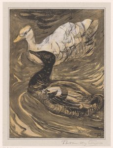 Zwei schwimmende Enten von Theo van Hoytema (signed by artist)
