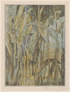 Vogel im Schilf von Theo van Hoytema (signed by artist)