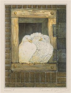 Weiße Tauben im Fenster von Theo van Hoytema (signed by artist)