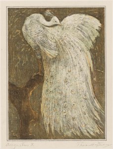 Weißer Pfau auf einem Ast von Theo van Hoytema (signed by artist)