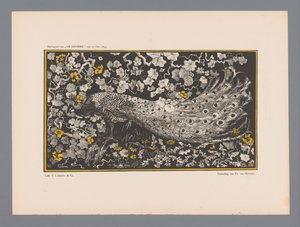 Pfau von Theo van Hoytema