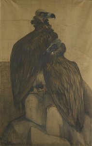 Zwei arabische Geier von Theo van Hoytema