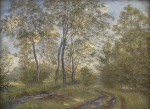 Ein Fluss in der Nähe des Meilgård-Herrenhauses, Jütland von Theodor Philipsen