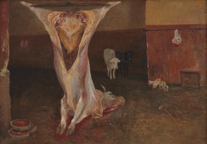 Kadaver eines Ochsen. Rom