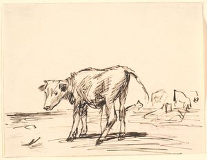 Ein Stierkalb von Theodor Philipsen