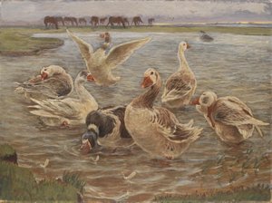 Gänse auf der Insel Saltholm von Theodor Philipsen