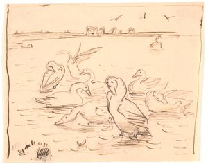 Gänse auf Saltholm