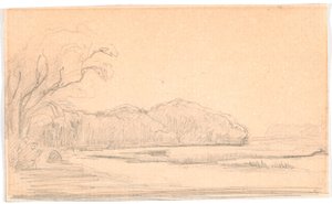 Landschaft bei einem waldgesäumten See
