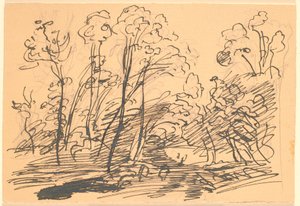 Waldlandschaft mit schlanken Bäumen
