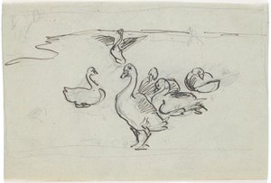 Studie von Gänsen