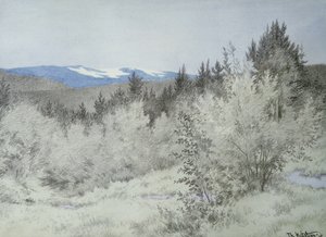 Weit, weit weg im Wald von Theodor Kittelsen