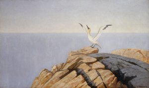 Meereszunge von Theodor Kittelsen