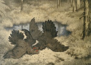 Der Trollvogelkampf dort drüben von Theodor Kittelsen